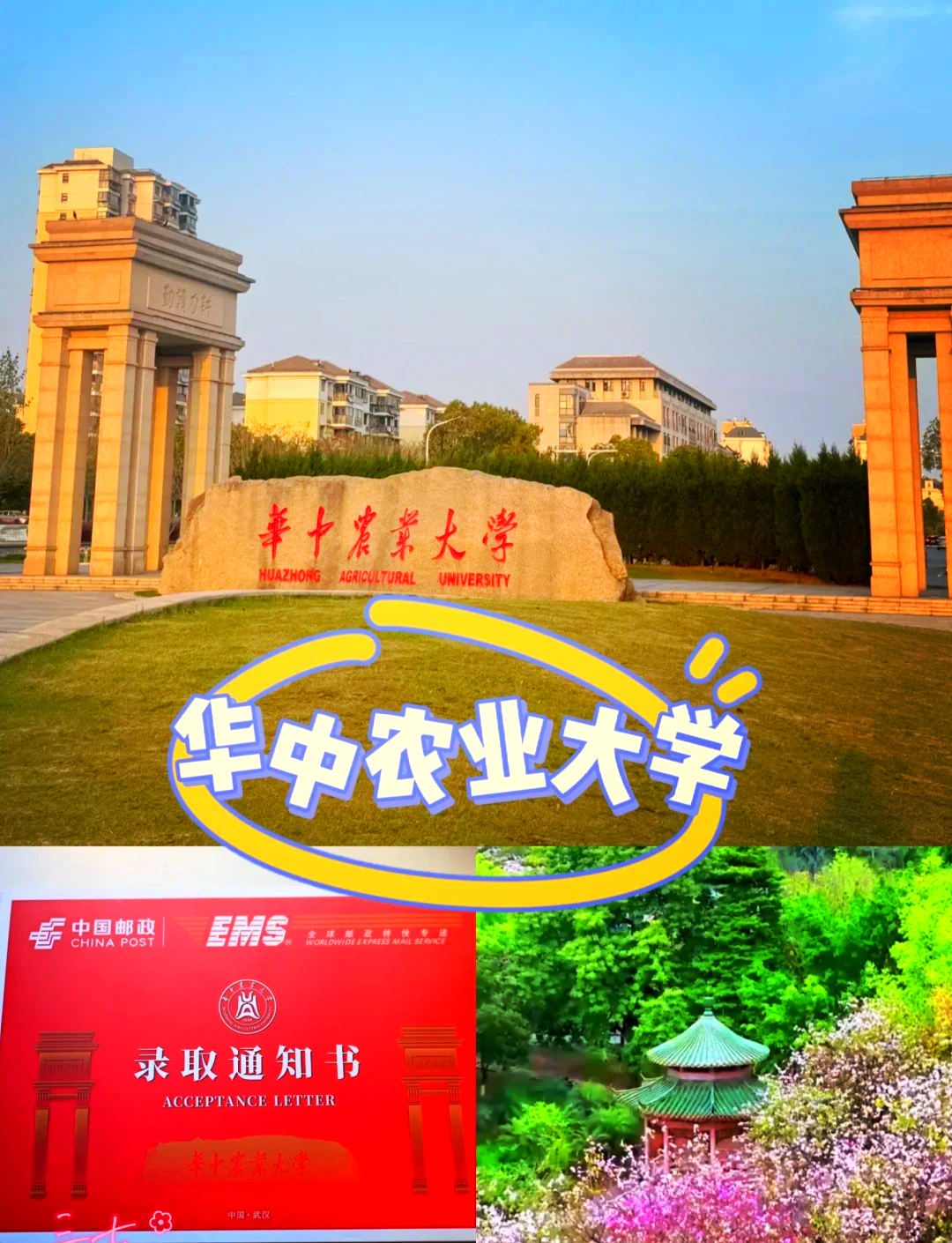 华中农业大学全国排名