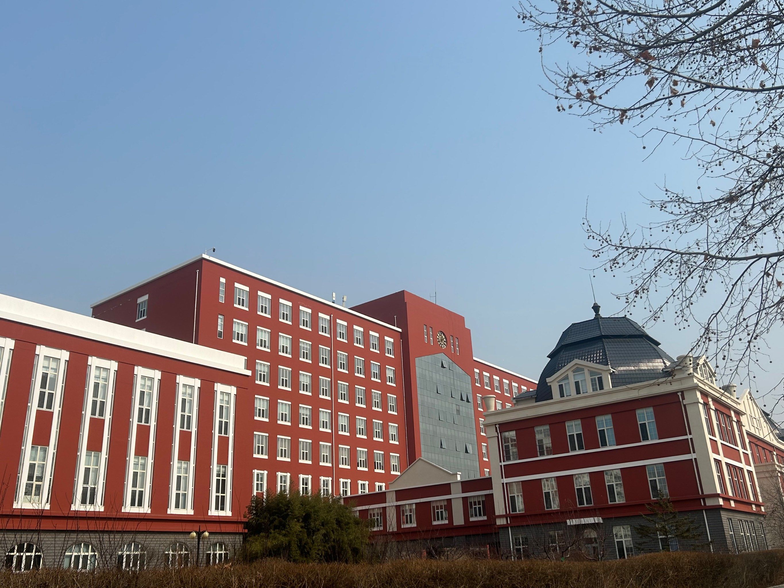 东北大学在哪个城市