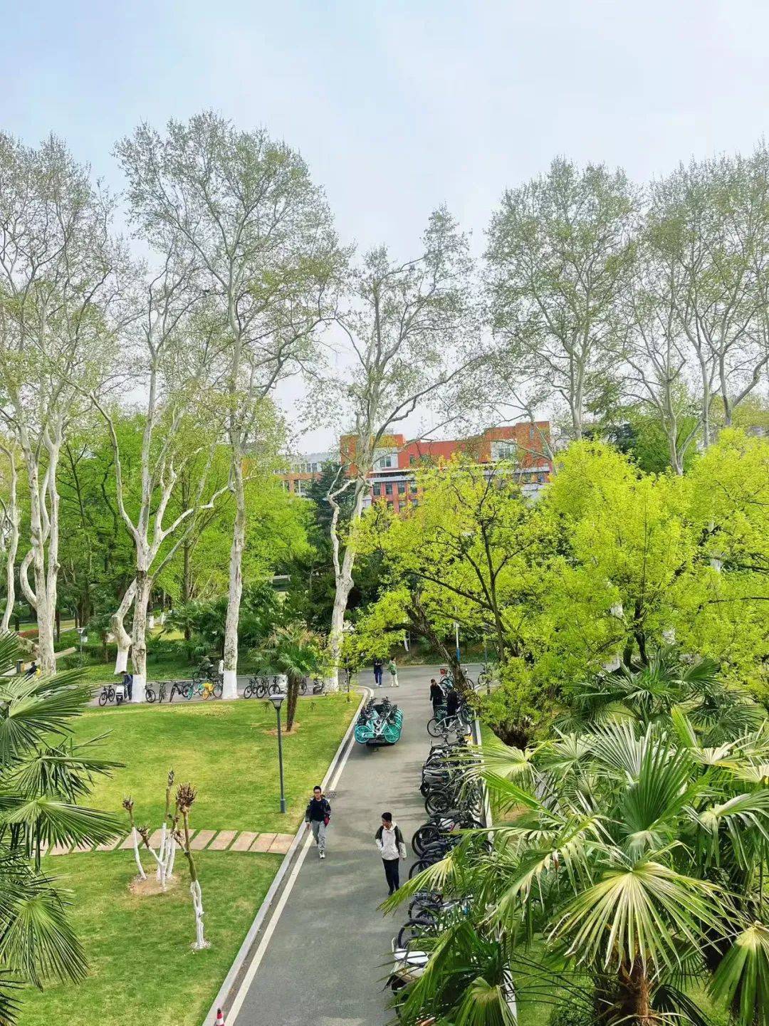 中国科学技术大学排名全国第几