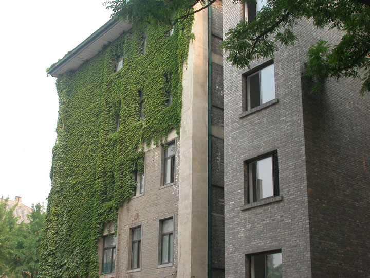 北京林业大学认可度高吗